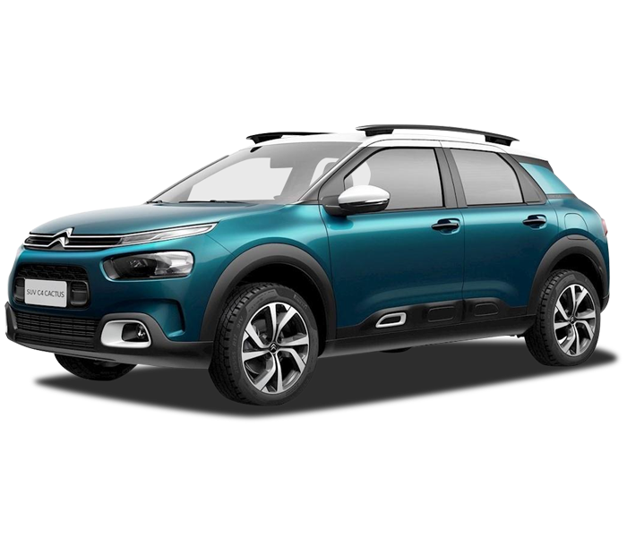 C4 Cactus