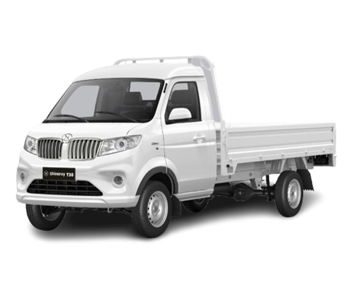 T30 CS